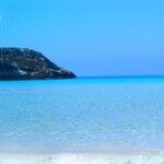 Profile picture of Saadiya